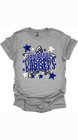 PREORDER BADGERS STAR T-SHIRT/SWEATSHIRT